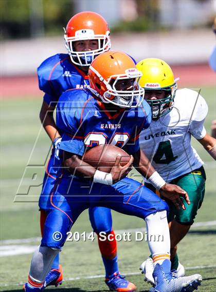 Thumbnail 3 in Live Oak @ Santa Teresa photogallery.