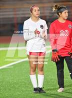 Photo from the gallery "Coconino @ Thunderbird"