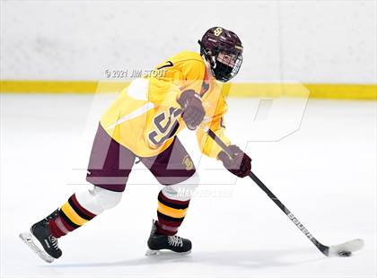 Thumbnail 2 in St. Joseph @ Fairfield Warde/Ludlowe photogallery.