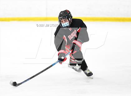 Thumbnail 2 in St. Joseph @ Fairfield Warde/Ludlowe photogallery.