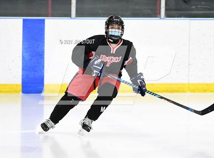 Thumbnail 1 in St. Joseph @ Fairfield Warde/Ludlowe photogallery.