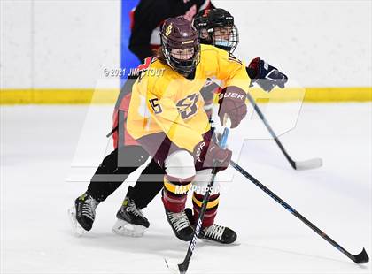 Thumbnail 1 in St. Joseph @ Fairfield Warde/Ludlowe photogallery.