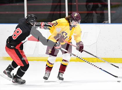 Thumbnail 3 in St. Joseph @ Fairfield Warde/Ludlowe photogallery.
