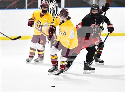 Thumbnail 2 in St. Joseph @ Fairfield Warde/Ludlowe photogallery.