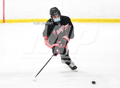 Thumbnail 1 in St. Joseph @ Fairfield Warde/Ludlowe photogallery.