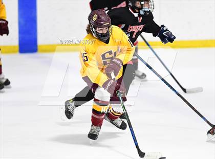 Thumbnail 2 in St. Joseph @ Fairfield Warde/Ludlowe photogallery.