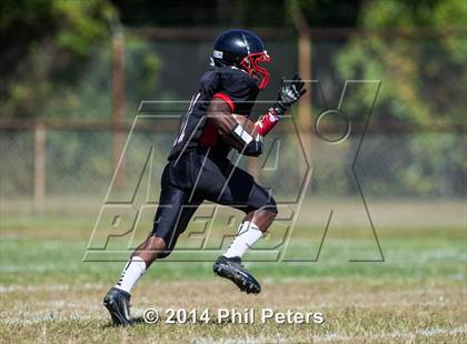 Thumbnail 1 in Douglass @ Crossland photogallery.