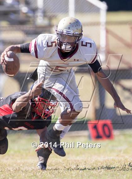 Thumbnail 1 in Douglass @ Crossland photogallery.