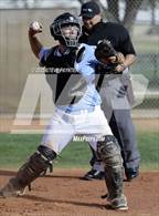 Photo from the gallery "Blue Ridge vs. Cactus"