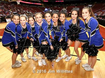Thumbnail 1 in Mesquite vs. Hamilton (AIA D1 Final) photogallery.