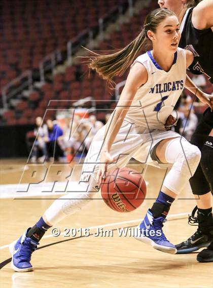 Thumbnail 3 in Mesquite vs. Hamilton (AIA D1 Final) photogallery.