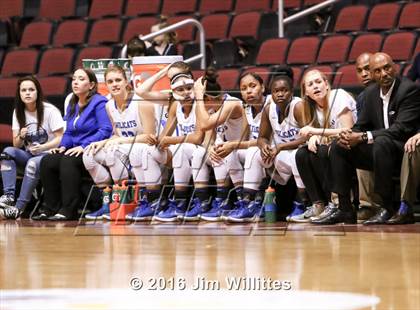 Thumbnail 3 in Mesquite vs. Hamilton (AIA D1 Final) photogallery.