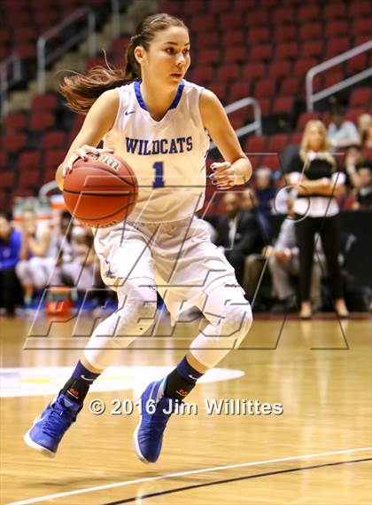 Thumbnail 3 in Mesquite vs. Hamilton (AIA D1 Final) photogallery.