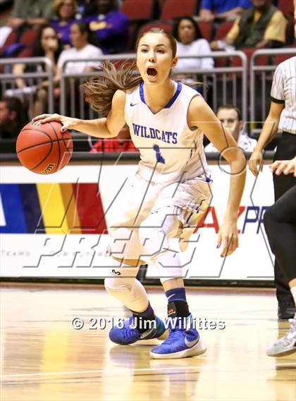 Thumbnail 2 in Mesquite vs. Hamilton (AIA D1 Final) photogallery.