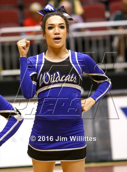 Thumbnail 2 in Mesquite vs. Hamilton (AIA D1 Final) photogallery.