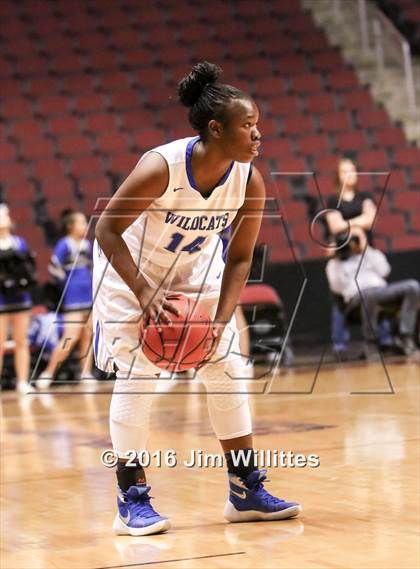 Thumbnail 3 in Mesquite vs. Hamilton (AIA D1 Final) photogallery.