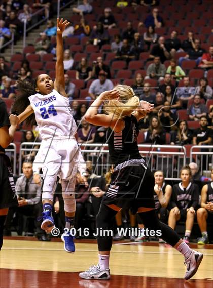 Thumbnail 3 in Mesquite vs. Hamilton (AIA D1 Final) photogallery.