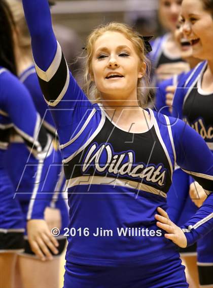 Thumbnail 2 in Mesquite vs. Hamilton (AIA D1 Final) photogallery.