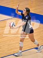 Photo from the gallery "O'Connor @ Harlan"
