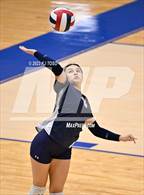 Photo from the gallery "O'Connor @ Harlan"