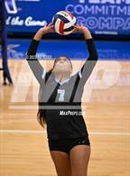 Photo from the gallery "O'Connor @ Harlan"