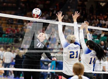 Thumbnail 1 in Dove Creek vs. Cheraw (CHSAA 1A Round 1) photogallery.
