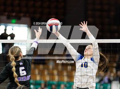 Thumbnail 3 in Dove Creek vs. Cheraw (CHSAA 1A Round 1) photogallery.