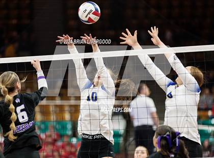 Thumbnail 3 in Dove Creek vs. Cheraw (CHSAA 1A Round 1) photogallery.