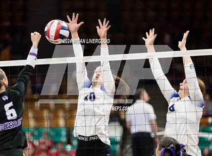 Thumbnail 1 in Dove Creek vs. Cheraw (CHSAA 1A Round 1) photogallery.