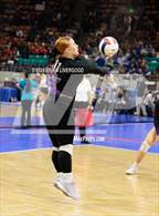 Photo from the gallery "Dove Creek vs. Cheraw (CHSAA 1A Round 1)"