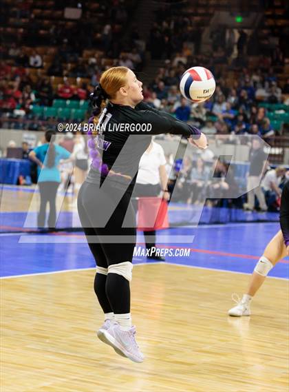 Thumbnail 1 in Dove Creek vs. Cheraw (CHSAA 1A Round 1) photogallery.