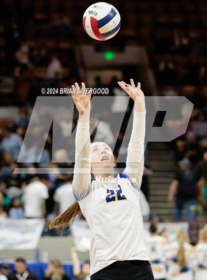 Thumbnail 1 in Dove Creek vs. Cheraw (CHSAA 1A Round 1) photogallery.