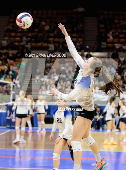 Thumbnail 2 in Dove Creek vs. Cheraw (CHSAA 1A Round 1) photogallery.