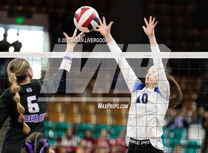 Thumbnail 2 in Dove Creek vs. Cheraw (CHSAA 1A Round 1) photogallery.