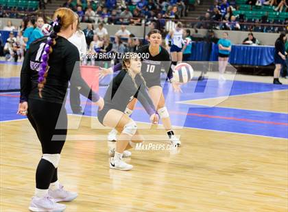 Thumbnail 2 in Dove Creek vs. Cheraw (CHSAA 1A Round 1) photogallery.