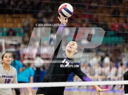 Thumbnail 3 in Dove Creek vs. Cheraw (CHSAA 1A Round 1) photogallery.