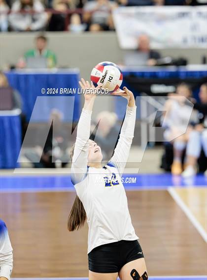 Thumbnail 2 in Dove Creek vs. Cheraw (CHSAA 1A Round 1) photogallery.