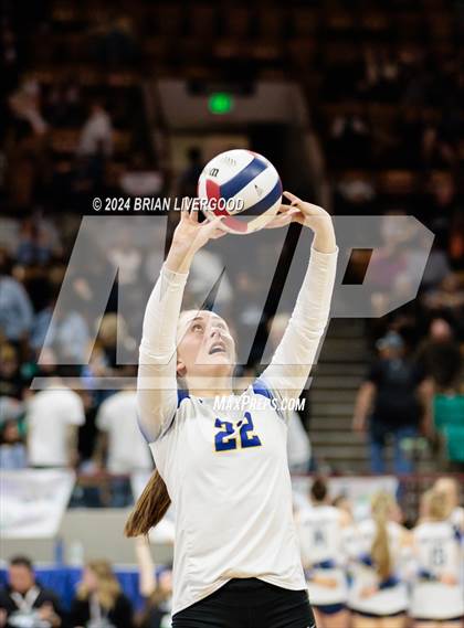 Thumbnail 3 in Dove Creek vs. Cheraw (CHSAA 1A Round 1) photogallery.