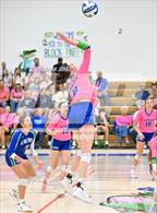 Photo from the gallery "Corona del Sol @ Xavier College Prep"