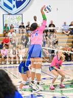 Photo from the gallery "Corona del Sol @ Xavier College Prep"