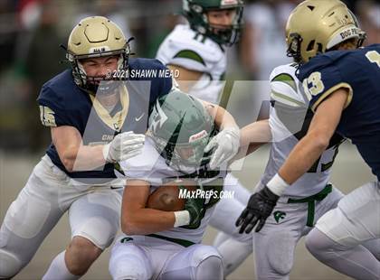Thumbnail 3 in Chelsea vs. Freeland (MHSAA D4 Semifinal) photogallery.