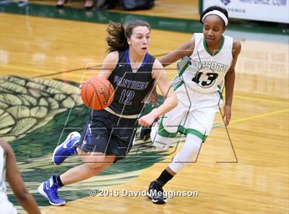 Thumbnail 3 in Midlothian @ DeSoto photogallery.