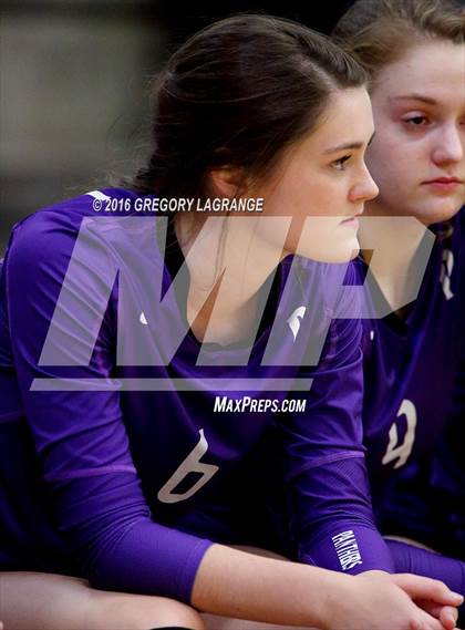Thumbnail 3 in Paschal @ Lamar photogallery.