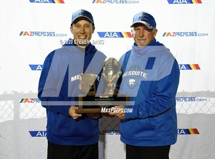 Thumbnail 1 in Cactus @ Mesquite (AIA 4A Finals Awards) photogallery.