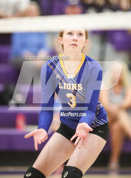Thumbnail 1 in Linden @ Bret Harte photogallery.