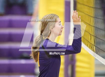 Thumbnail 1 in Linden @ Bret Harte photogallery.