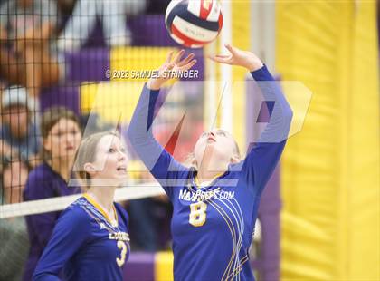 Thumbnail 2 in Linden @ Bret Harte photogallery.