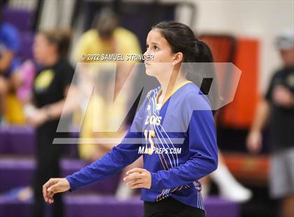 Thumbnail 3 in Linden @ Bret Harte photogallery.