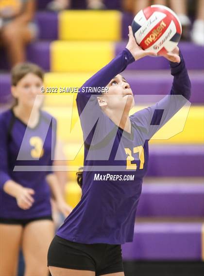 Thumbnail 1 in Linden @ Bret Harte photogallery.