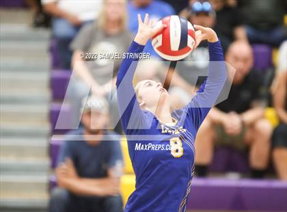 Thumbnail 3 in Linden @ Bret Harte photogallery.